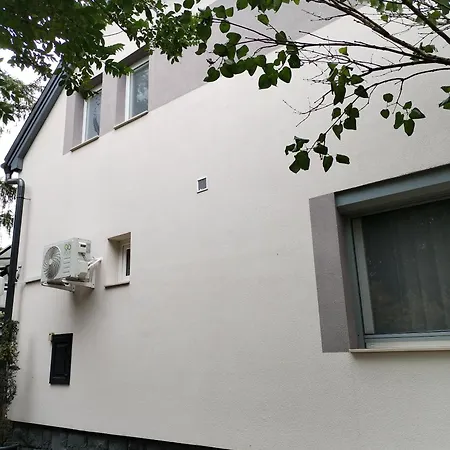 Victorio Vendeghaz *